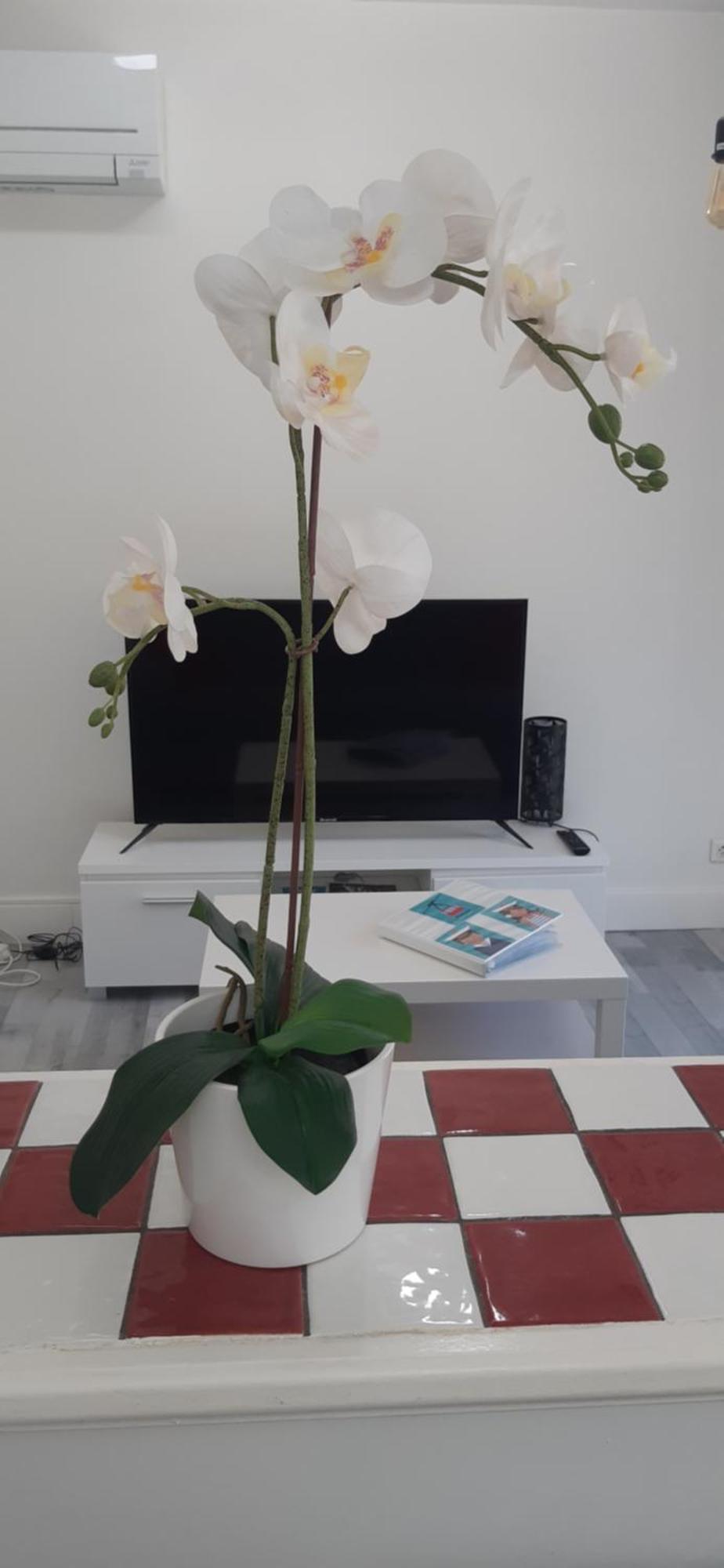 Logement Le Serein Toulon Dış mekan fotoğraf